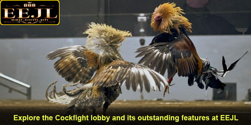 Explore the Cockfight lobby and its outstanding features at EEJL